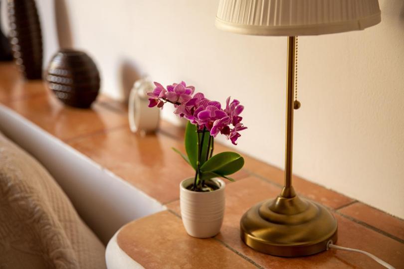 Châteauzen Madieres Phòng bức ảnh